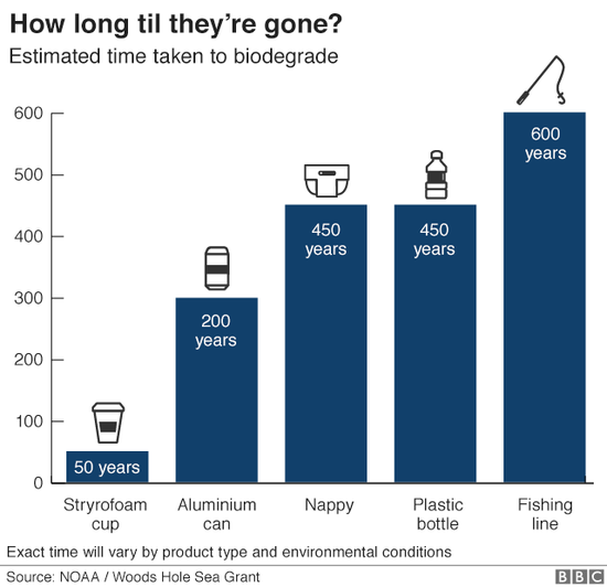 塑料对海洋危害有多严重？污染最终或回到我们体内
