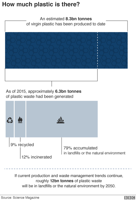 塑料对海洋危害有多严重？污染最终或回到我们体内