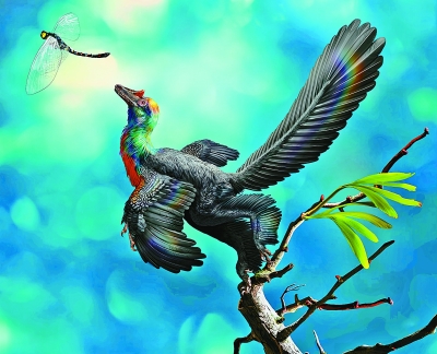 迷信家新发现：最早带不对称飞羽的彩虹色恐龙现身