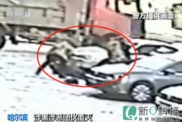 黑龙江一镇党委委员私藏枪支 暴力伤害上访人员